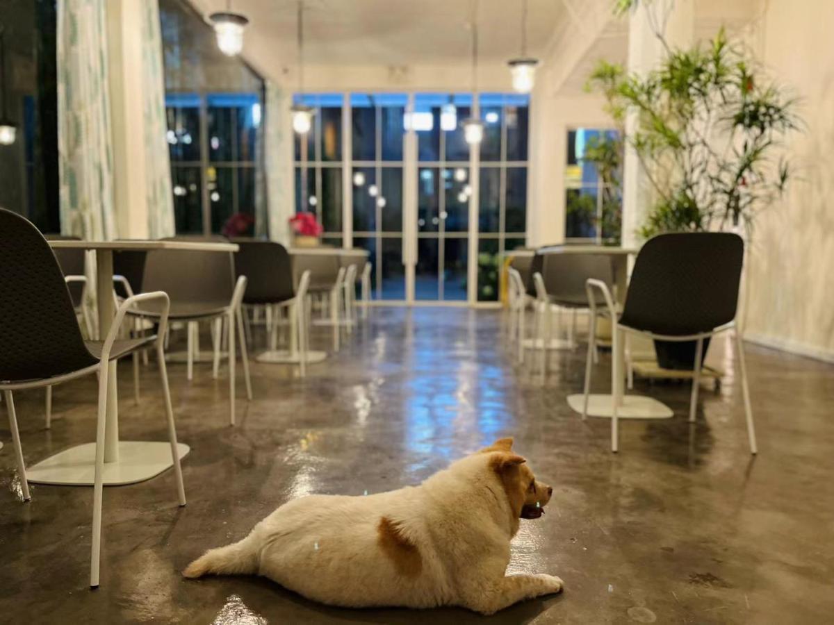 Shenzhen Loft Youth Hostel Εξωτερικό φωτογραφία